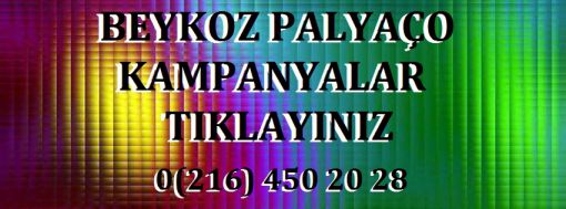 beykoz palyaço organizasyon şirketi beykoz palyaço kiralama, kavaık palyaço kiralama, şile palyaço kiralama